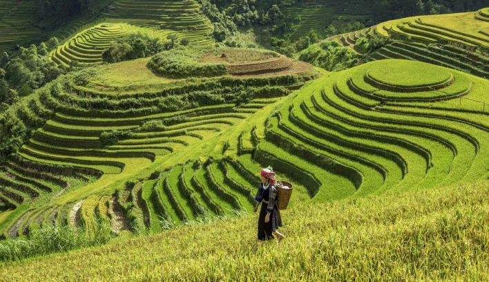 Descubre Vietnam, Camboya y Tailandia