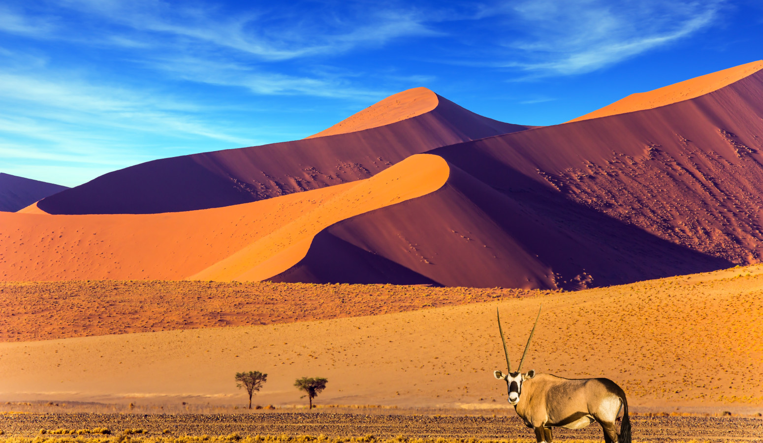 El Desierto del Namib