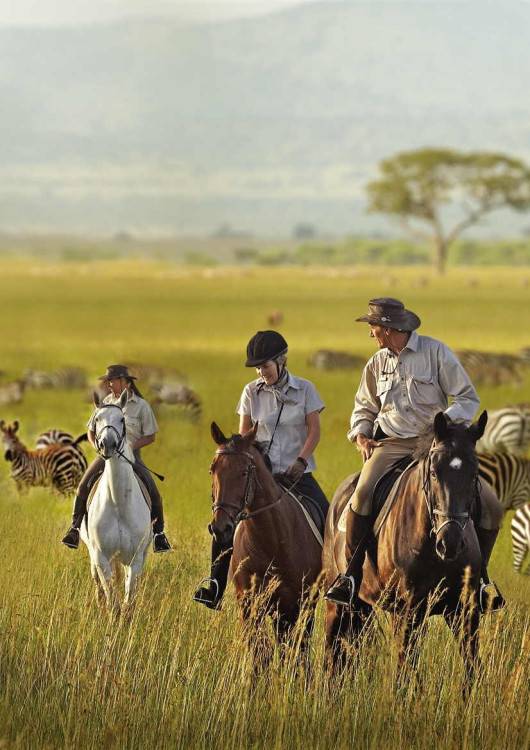 Cabalgata Safari 