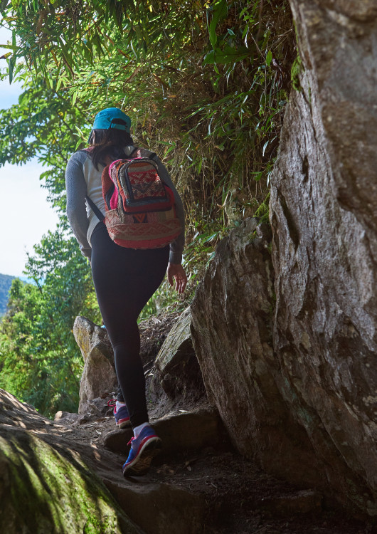 Camino del Inca