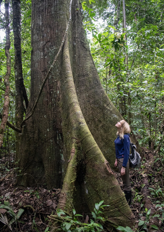 Descubre la selva de Tambopata