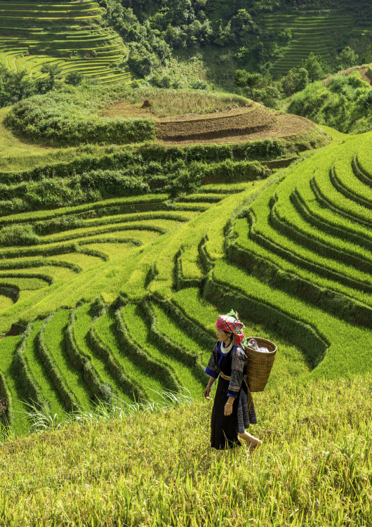 Escapada a Sapa