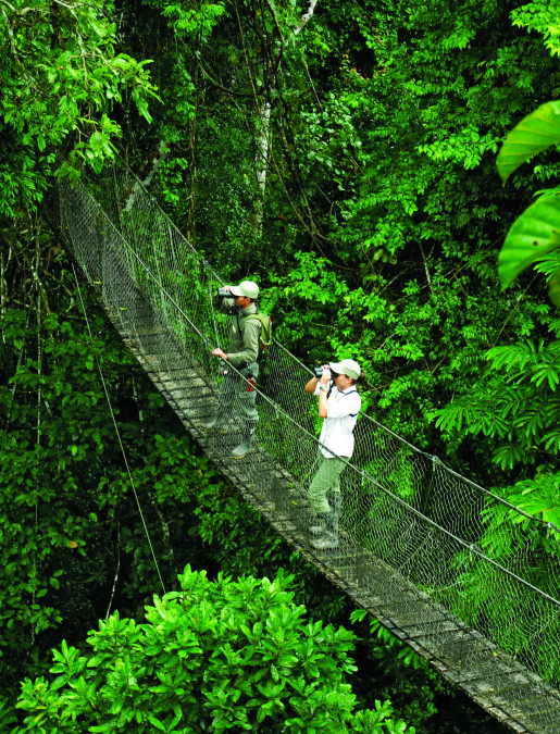 Imagen de Explorando la Amazonía Peruana     (A medida) - Puerto Maldonado