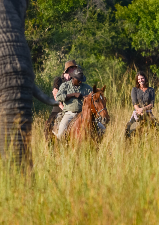 Cabalgatas Safari